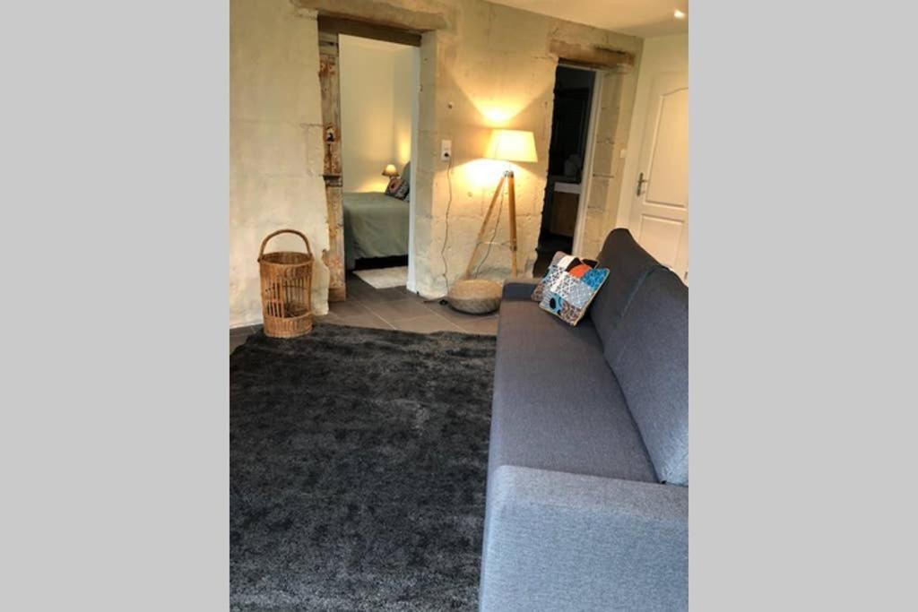 הוילה Chouzé-sur-Loire Le Logis De La Tour Saint Jacques מראה חיצוני תמונה