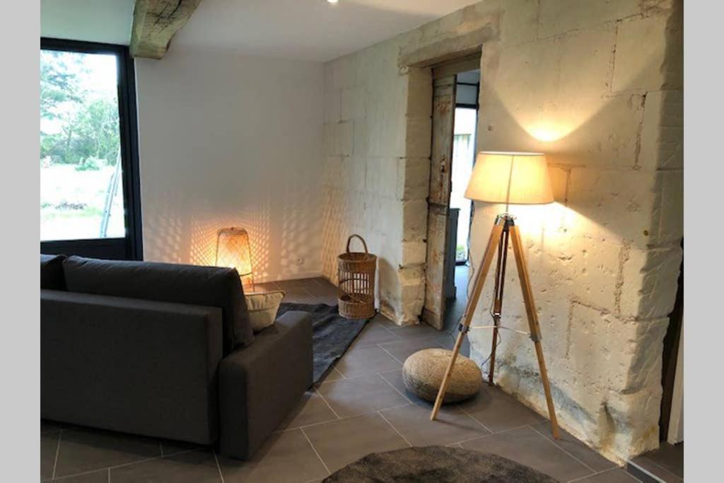 הוילה Chouzé-sur-Loire Le Logis De La Tour Saint Jacques מראה חיצוני תמונה